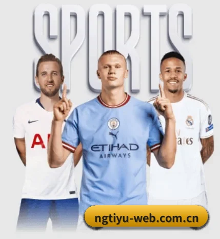 五个功能入口,赛程查询路径更短